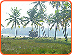 Yoga Köln Ashtanga Backwaters
