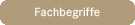 Lexikon gingerup Kln