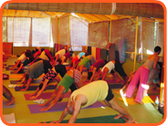 Yoga Köln ashtanga Asana