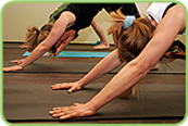 Yoga, Kln, Yoga Kurse, Hatha Yoga, Yogaunterricht, Yogaschule, Yogakurse, Ashtanga Anfnger, Einsteiger, Mnner, Workshops Yoga Rckenschmerzen, Rckenleiden, Kln, restauratives Yoga, Stress, Yoga, Koeln Bandscheibenprobleme, ltere, 50+, Senioren, Knie Hfte, Entspannung, Kln, Bluthochdruck, Tinnitus, Nacken, Schlafstrungen, Mdigkeit, Verdauungsprobleme, Power, Mysore, Atem, Cologne, Schmerzen, Frauen, Kln, Magen Kopfschmerzen, Infektionsanflligkeit