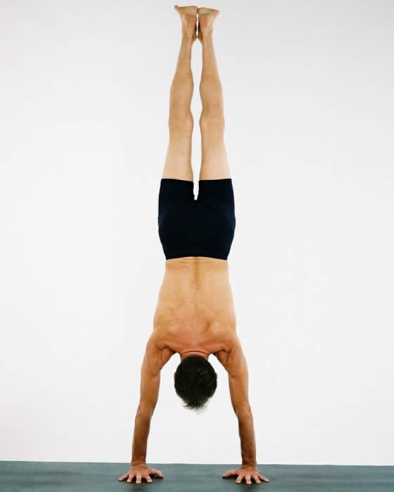 http://www.sattvayogashala.com/Darby/F1000016.jpg