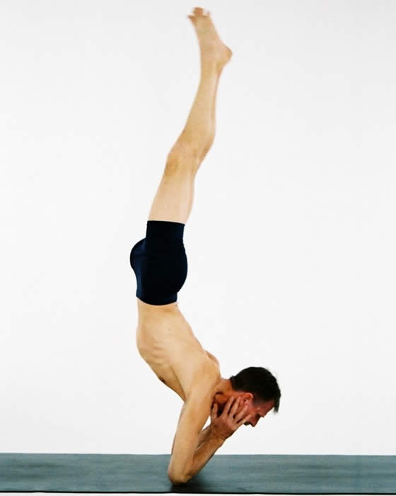 http://www.sattvayogashala.com/Darby/F1030014.jpg